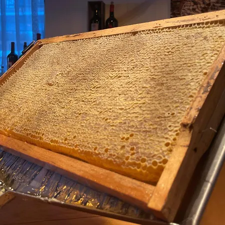 Andino St Anton am Arlberg