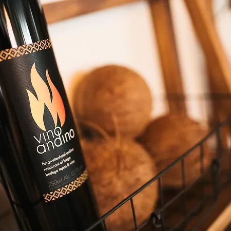 Andino 4* Σανκτ Αντόν αμ Άλμπεργκ