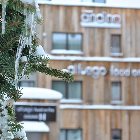 Hotel Andino